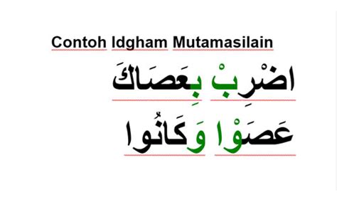 Contoh Ayat Idgham Mutamatsilain Dalam Al Quran