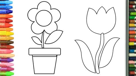 Rosas Para Dibujar Faciles Dibujos De Flores Distintas Flores Para