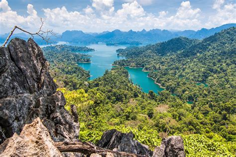 Khao Sok Nationalpark Thailand Franks Travelbox Images And Photos Finder