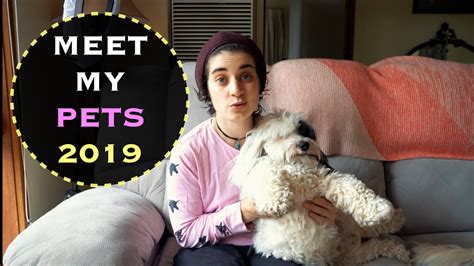 Meet My Pets 2019 Youtube