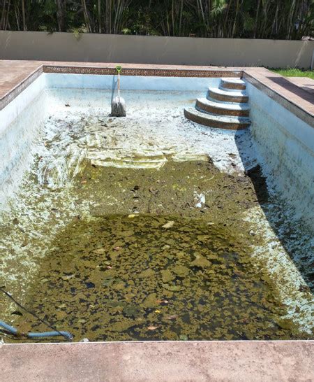 Dirty Pool Pool Service Repair And Maintenance