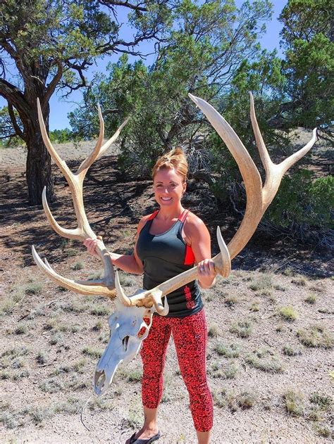 Guided Rifle Elk Hunts In New Mexico Bmo Hunts