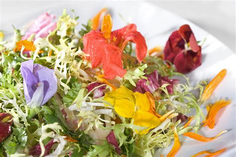 Luxurious Garnish Edible Flowers In Food Eat Love Savor