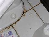 Images of Toilet Repair Leaking Base