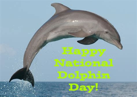 Happy National Dolphin Day By Uranimated18 On Deviantart