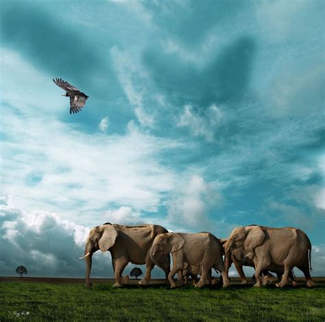 30 Incredible and Award Winning National Geographic Animal Photos