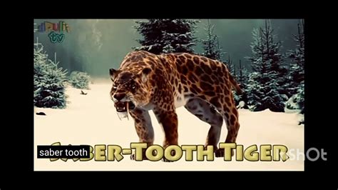 Drulii Tv Wild Animals Learn Youtube