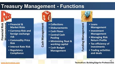 Functions Of Cash Management Meuslivrosv