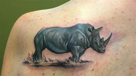 Significados De Tatuagens De Rinoceronte Blendup