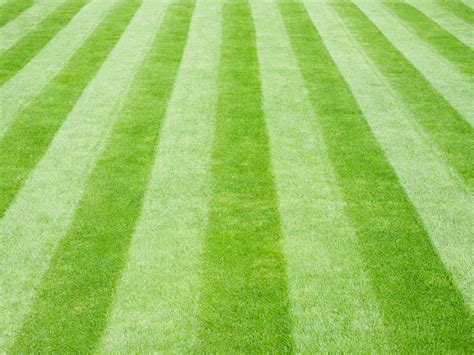 How To Mow Stripes In A Lawn