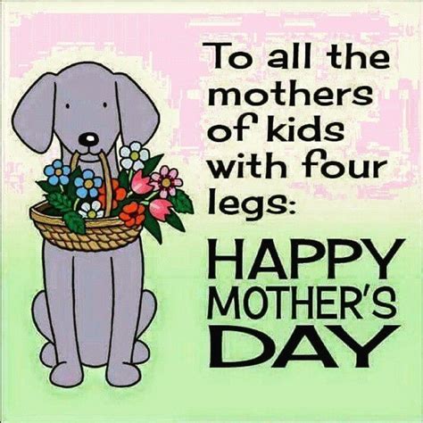 Happy mother's day to everyone and to you shahlla! To All The Mothers Of Kids With Four Legs...Happy Mother's ...