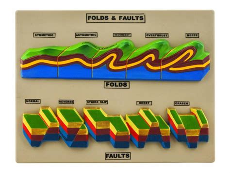 Fold And Fault Model Geology Tectonics Study Model