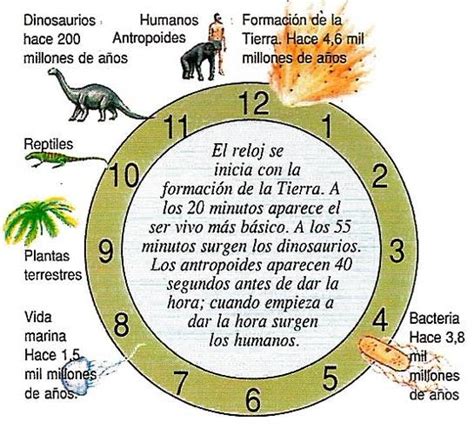 Tiempo GeolÓgico Y Acontecimientos Eones Eras Y Periodos