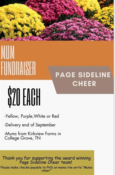 Our Daughter Is Selling Mums For Page High Cheer Arrington