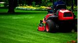 Yard Maintenance Services Images