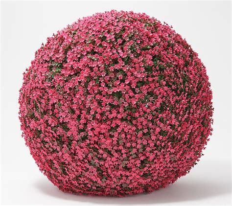 Set of 2 watercolor floral spheres by valerie on qvc. Wicker Park 19" Faux Floral Oversized Garden Sphere — QVC ...