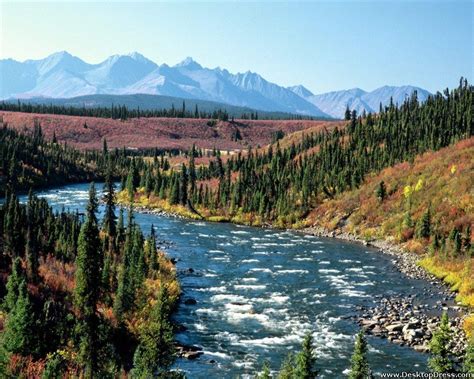 Yukon Wallpapers Top Free Yukon Backgrounds Wallpaperaccess