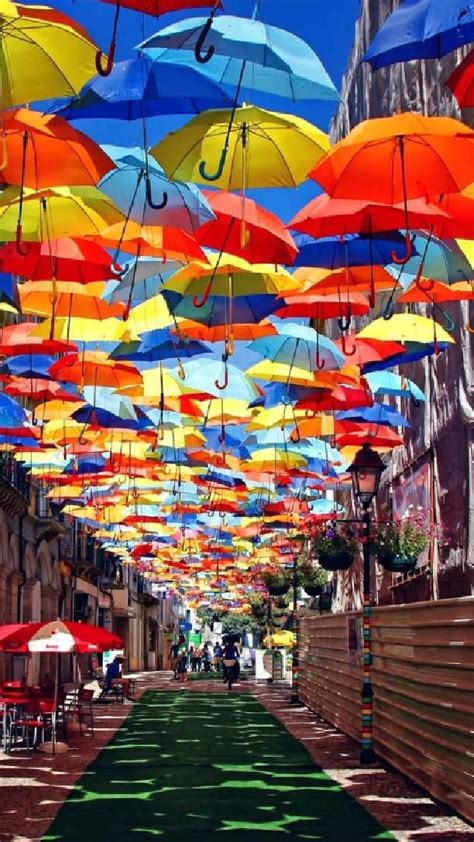 Umbrella Street ☂️☂️ An Immersive Guide By Enqlux