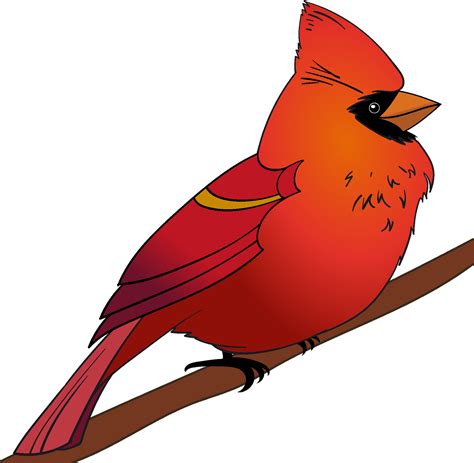 Watercolor Cardinals Clipart Male And Female 1373402 Clip Art Library