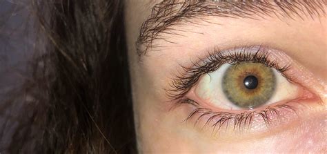 Eyeshadow shades for hazel eyes bring out the best colors, creating a beautiful, dramatic effect. Hazel eyes :) : eyes