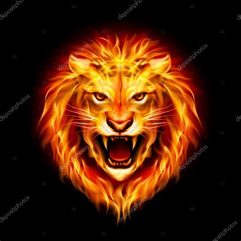 Head Of Fire Lion Stock Vector Dvargg