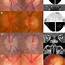 Differential Diagnoses Of Various Forms Optic Neuropathy The Red 