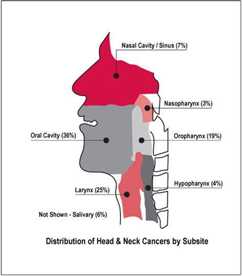 Head And Neck Cancer And Hpv Oral Health Health And Senior Services