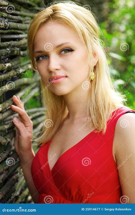 Young Beautiful Blonde Woman Stock Image Image Of Human Dress 25914677