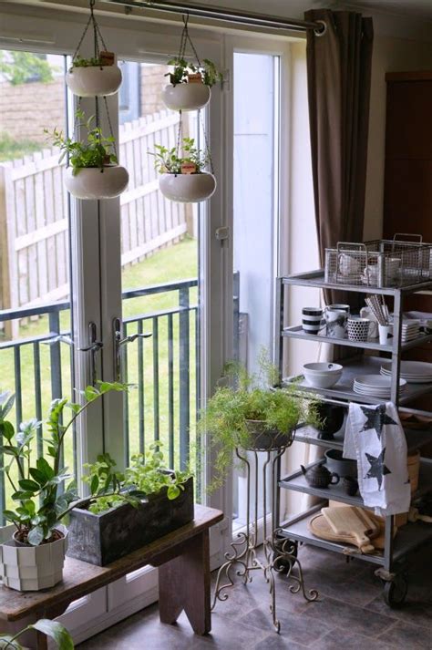 How to start a kitchen herb garden in your home? Tuesday Tips - Kitchen herb garden | Herb garden in ...