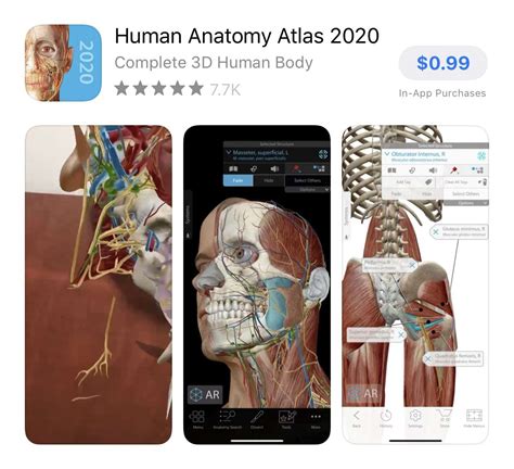 Atlas Anatomy App