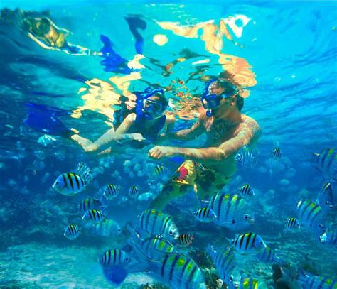 Snorkelling In Vietnam 6 Places For The Best Underwater Adventure