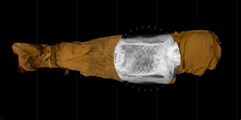 first ever pregnant egyptian mummy discovered egyptian mummies cultural artifact skull and bones