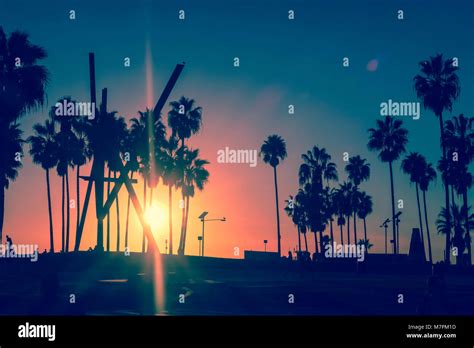 Venice Beach Sunset Los Angeles Palm Tree Silhouette Stock Photo Alamy