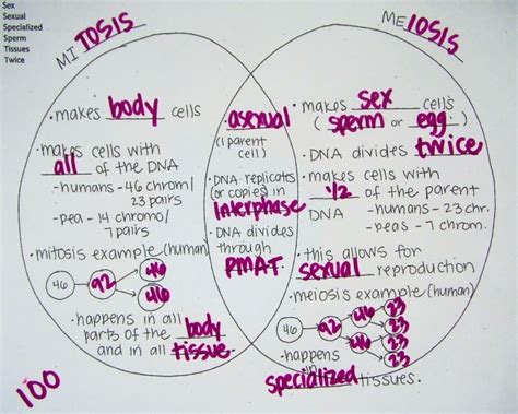 Read each question carefully, you may use short answers when stated. Venn Diagram Between Mitosis And Meiosis - Aflam-Neeeak