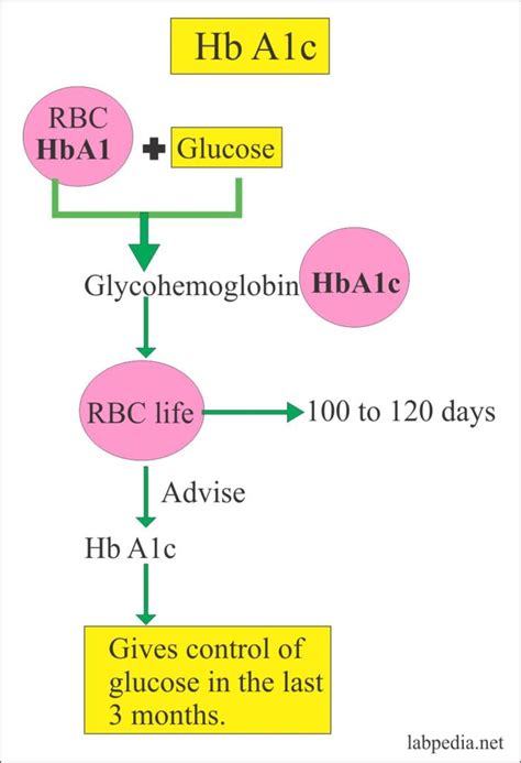 Hba1c Glycosylated Hemoglobin Glycohemoglobin G Hb Glycated