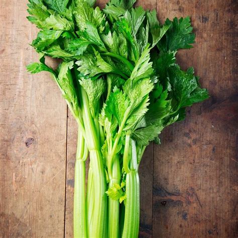 Celery Seeds Tall Utah 52 70 Vegetable Seeds In Packets And Bulk