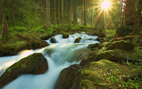Sun Sunlight Timelapse Stream Waterfall Moss Forest Trees Hd Wallpaper