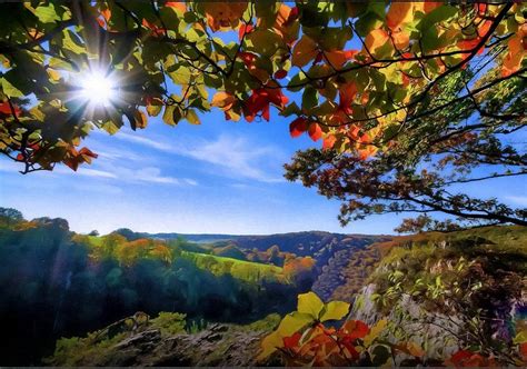 Fall In The Blue Ridge Mountains Photograph By Sandi Oreilly Pixels