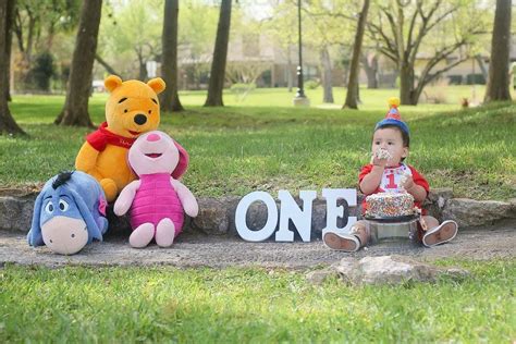 Winnie The Pooh Baby Boy 1st Birthday Party 1st Boy Birthday Baby