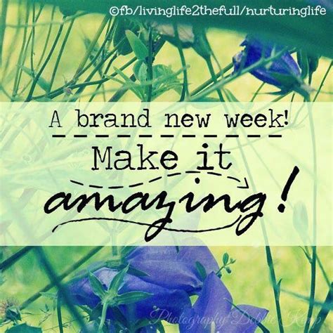 A Brand New Week Make It Amazing Monday Monday Quotes Happy Monday Have