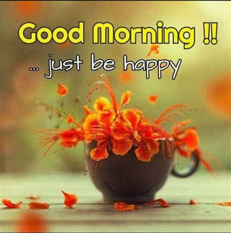 Pin By Dinesh Kumar Pandey On Good Morning Good Morning Flowers Good