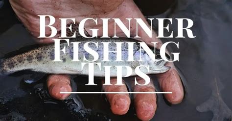 Fishing Tips For Beginners The Ultimate Beginners Guide To Fishing