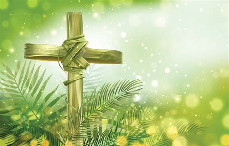 Palm Sunday Background With Palm Cross 5053839 Vector Art At Vecteezy
