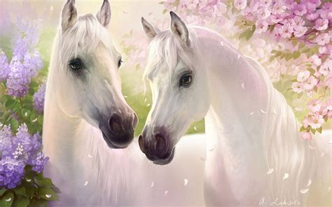 Beautiful White Horses Photos Good Pix Gallery One Cent Carasol