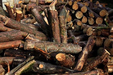 Dry Firewood Stock Photo Image Of Supply Source Ready 57577658
