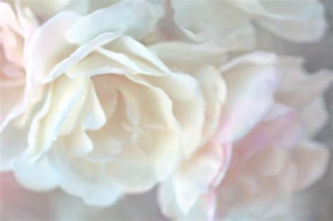 Pastel Rose Flowers By Jennie Marie Schell Pastel Roses Flower Art