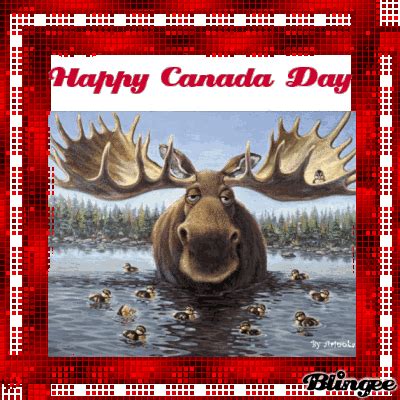 Just use the embed links on the right side of each gif page, copy the direct link (email & im) and paste it on your response. Happy Canada Day Moose Picture #129661280 | Blingee.com