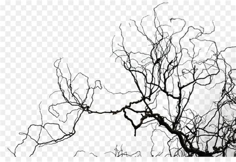 Ikan adalah kelompok vertebrata yang paling. Free Tree Silhouette Template, Download Free Clip Art, Free Clip Art on Clipart Library