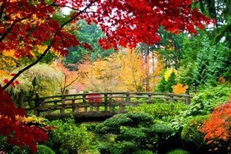 Fall Gardens Bing Images Gardening Greats Pinterest