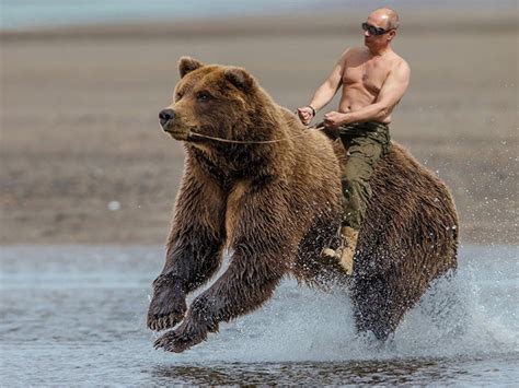 The best gifs are on giphy. Russian News - Putin commented on his photos riding on a ...